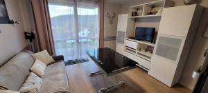 Appartements Le Petit Sapin : photos des chambres