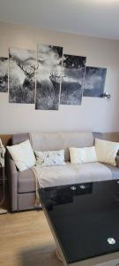 Appartements Le Petit Sapin : photos des chambres