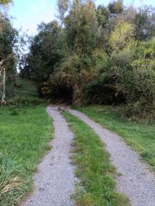 Cabaña Entre Arrayanes Número 2