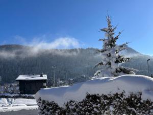 Appartements Duplex spacieux 3 pieces 6 pers. Les Carroz, parking et cheminee - FR-1-572-152 : Appartement