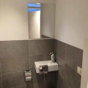 De Essenburgh 7-persoons, overdekte hottub en lounge, barrel sauna, sunshower, wifi, omheinde tuin, huisdier vriendelijk