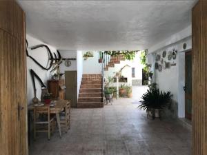 CA LONA antiguo CAN LEON