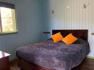 Los Canelos de Cayumapu