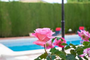 Villa Granada Garden Deluxe