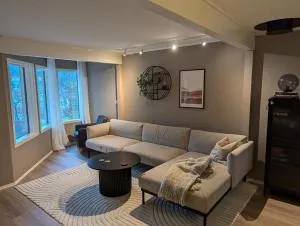 Nice and spacious apartment in a quiet area - Skatøra