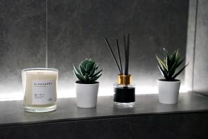 AveNew Luxury Apartment 2