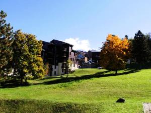 Résidence Les Roches - deux pièces à proximité des pistes MAE-6331