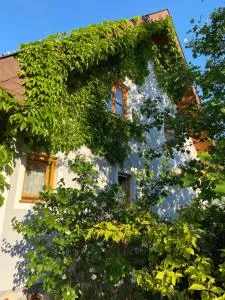 Ferienwohnung in der Thermenregion - Gersdorf an der Feistritz