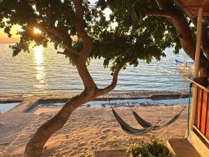 The Shuim Dive Resort Moalboal