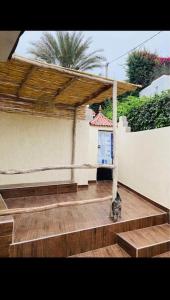 Welcome to the comfy place