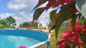 Camping San Gabriel - Angosturas