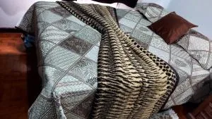 Apartamento frente a praia Santos - Campo Grande