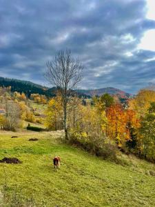 Apartamenty Widokowe Na Szczycie