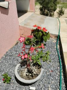 Rancho do Poeta - Chalé Cajueiro