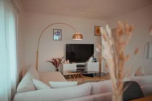 Sky Paradise 20min to zurich city centre - Niederwil