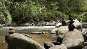 Glamping Reserva Natural Amalaka