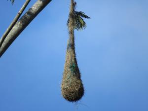 Glamping Reserva Natural Amalaka