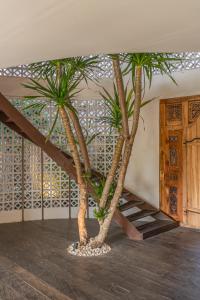 Rimba Villas - Luxury Lush Estate in Canggu