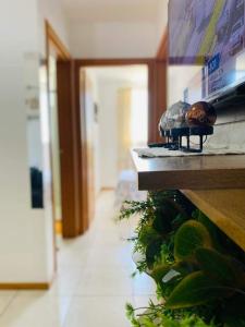 Hospedagem Praia Word Penha SC