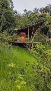 Glamping Reserva Natural Amalaka