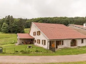 Ancienne ferme vosgienne rénovée, idéale pour famille - FR-1-583-94 - Plancher-Bas