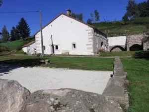 Ancienne ferme rénovée au cœur des Vosges avec terrasse couverte - FR-1-583-114 - Raddon-et-Chapendu