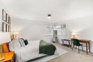 The Squirrel Near UPS, Proctor, and Old Town