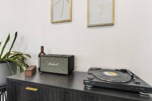 The Squirrel Near UPS, Proctor, and Old Town