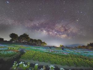 くじゅう花公園 グランピングパーク花と星