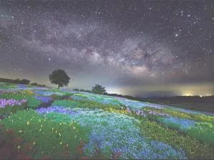 くじゅう花公園　キャンピングリゾート花と星 - Sasakura