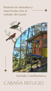 CABAÑA REFUGIO Rodeada de naturaleza y espectacular vista al embalse del Guavio