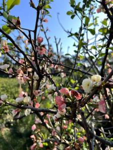 윤슬의 방학 Yunsoul en Vacances