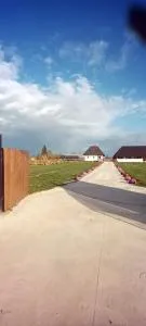 Casa cu lavanda Hardic - Bilca