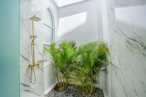 Stunning tropical 3bed Villa