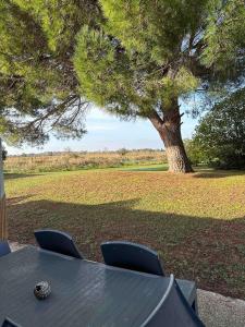 Duplex magnifique pour accueillir jusquà 6 personnes