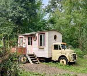 Camionnette Enchantée - Verzaubertes Wägelchen - 杜河畔凡尔登