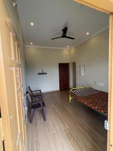 Axv Home