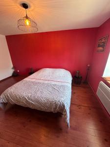 Appartements Charmant duplex des tilleuls : photos des chambres