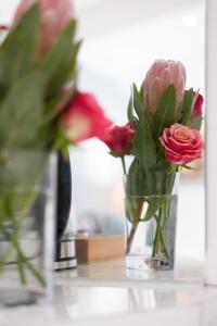 The Willets Boutique Hotel in Simons Town