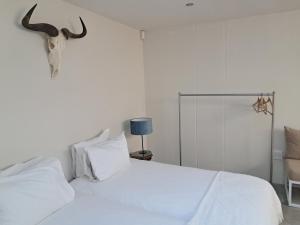 Stylish Studio Apartment in the Heart of Cape Town