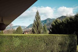 Appartements Apartment - Le Cerf Blanc : photos des chambres