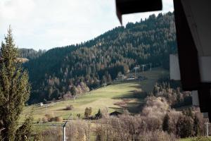 Appartements Apartment - Le Cerf Blanc : photos des chambres