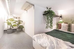 Jungle in Vilnius City Center by URBAN RENT