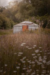 Gilfach Gower Farm Luxury Yurt with Hot Tub