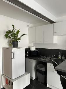 Appartements Le cosy Jean Jaures - Double bed - Free parking : photos des chambres