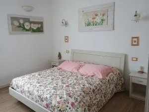 B&B Mimosa e Lillà - Cavalo