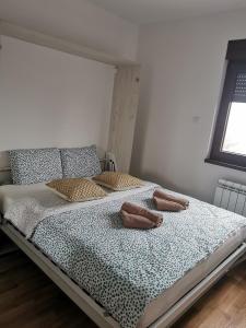 Apartman Čolović, planina Tara, Kaluđerske Bare