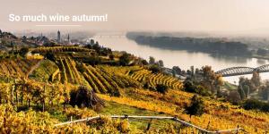 Hagmanns Altstadt Appartement 1