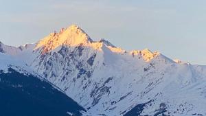 Appartements La Bergerie 10-12 personnes au pied des pistes a Montalbert : Appartement