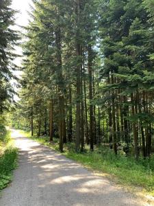 Marzeniec w Beskidzie Niskim